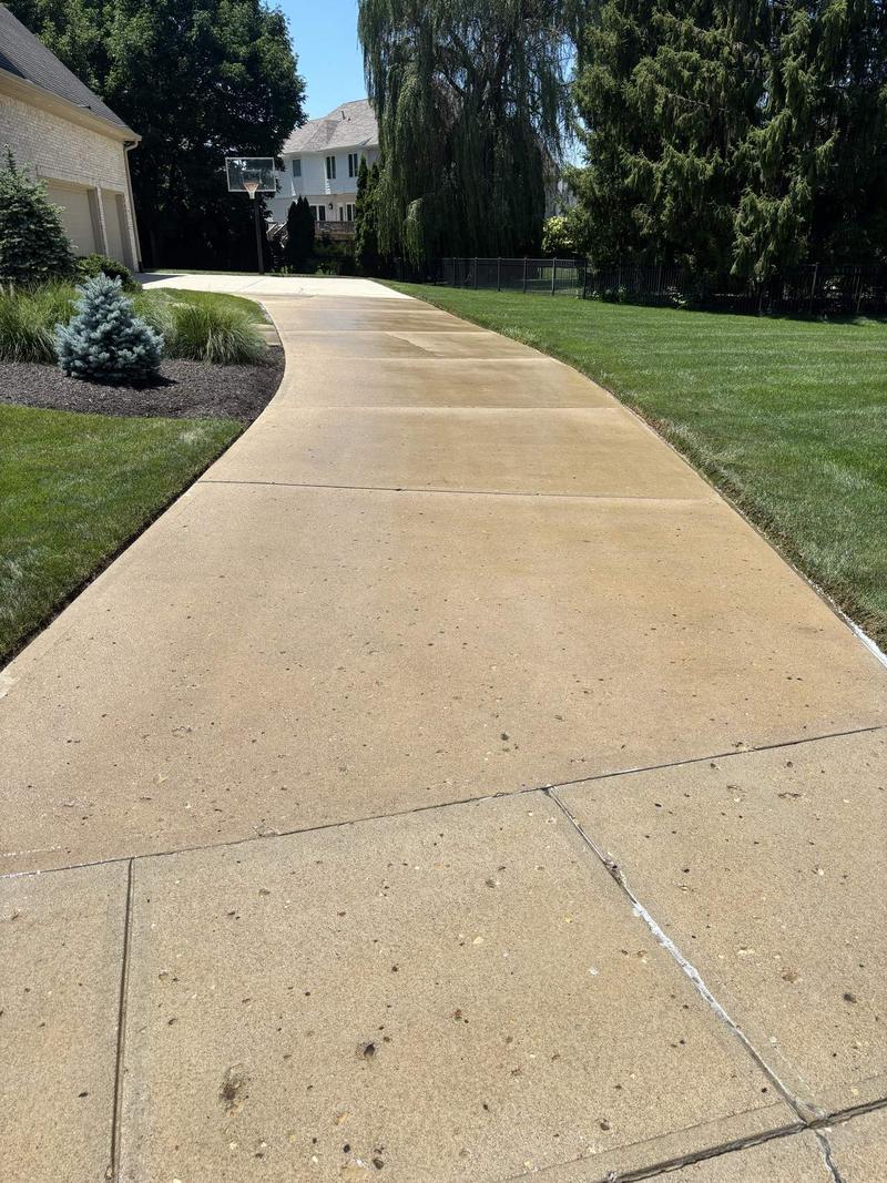 Front driveway, after cleaning