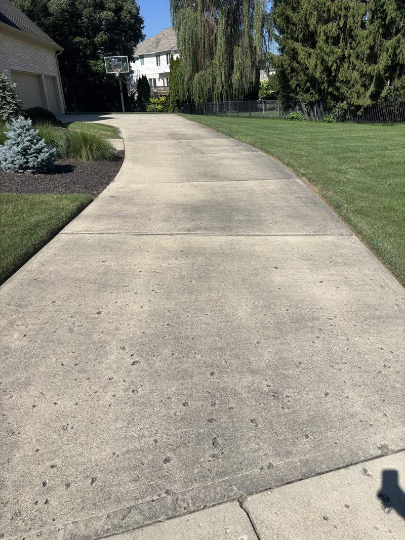 Front driveway, before cleaning