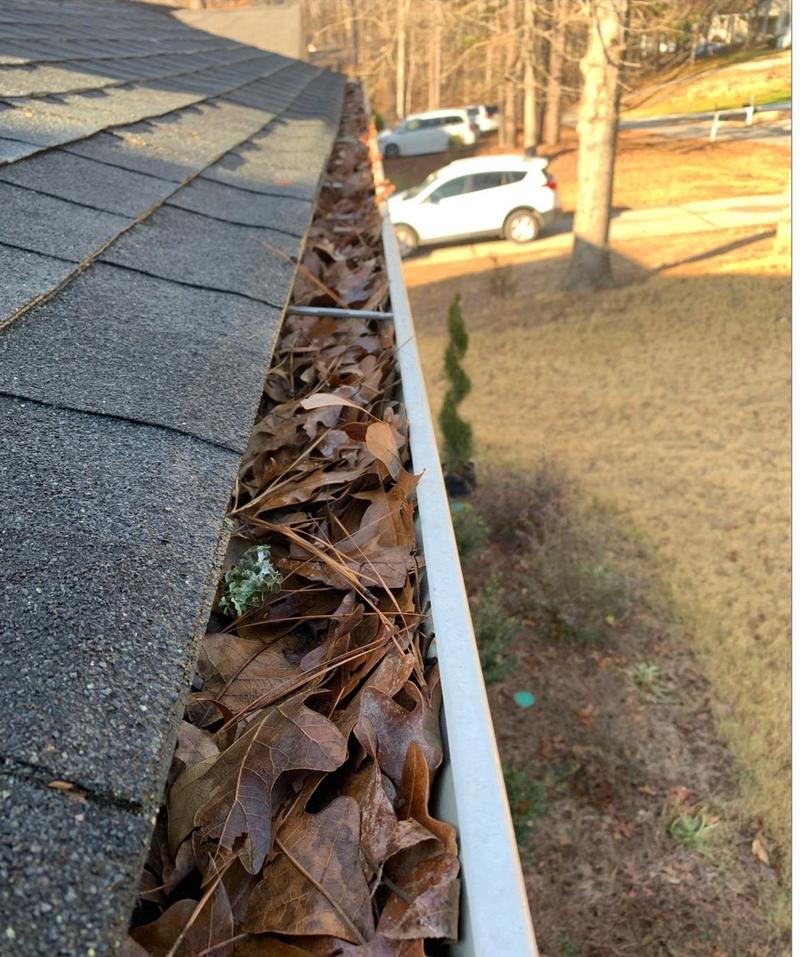 Gutter cleanout, before cleaning