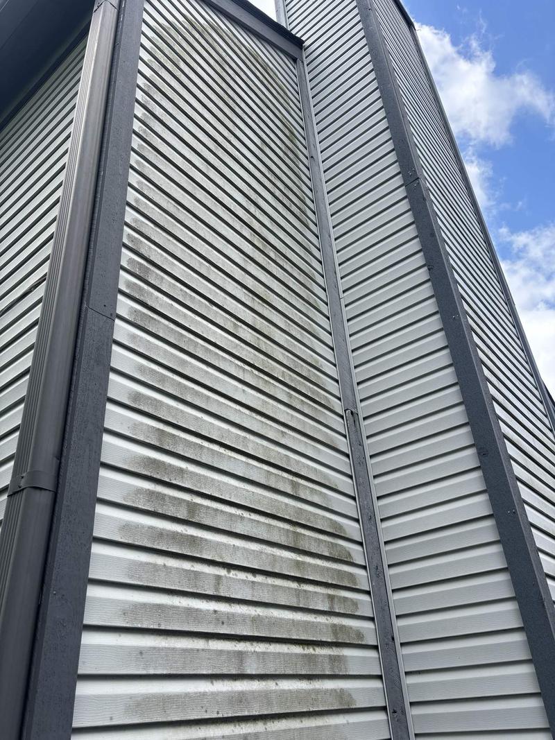 Dark siding, before cleaning